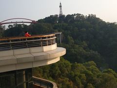 -金鸡山公园