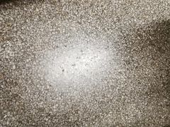 -东南大学（四牌楼校区）体育馆