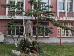 -浙江省杭州高级中学(贡院校区)