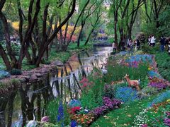 -上海共青森林公园