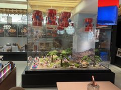 -将军牛排·尔滨地标朝鲜族美食(总店)