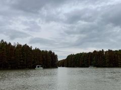 -上海海湾国家森林公园