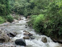 -西岭雪山大飞水景区