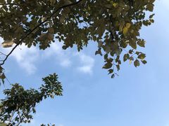 -火炉山森林公园