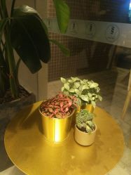 -苏豪路易士·嘉玛发廊