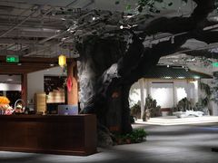 -大视光学•LINDBERG林德伯格•全球手工眼镜集合店(王府井店)