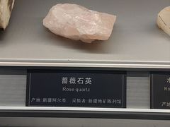 -中国地质大学逸夫博物馆