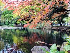 -北海道厅旧本厅舍(旧本庁舎)