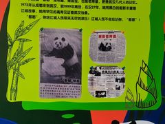 -武汉动物园