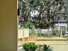 -苏小糖(鼓浪屿三丘田花园店)