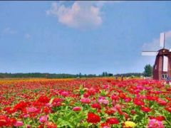 -北纬44度·金珠花海休闲农业旅游景区