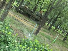 -秦皇岛野生动物园