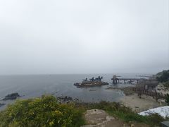 -养马岛旅游度假区