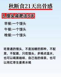 -Fundi张玉珊修身堂·indiba·BTL科技瘦身