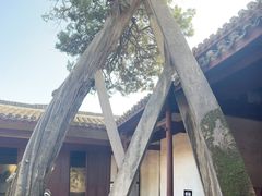 -太平天国侍王府