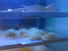 -见康道莱•足浴按摩•艾灸•SPA(友谊店)