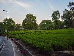 -旅马餐厅(茅家埠店)