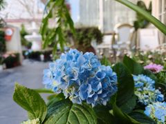 -秀儿家の小确幸花园西餐厅