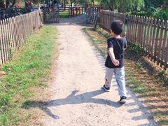 -前小桔亲子创意农场·草莓采摘·露营烧烤