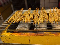 -芙蓉泉·烤鸡爪(芙蓉街店)