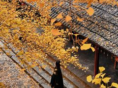 -大慈岩风景区