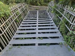 -福道
