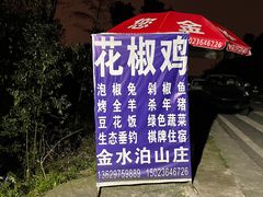 -金水泊山庄·花椒鸡(铁山坪店)
