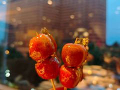 -羲和雅苑•北京烤鸭(平安国际金融中心店)