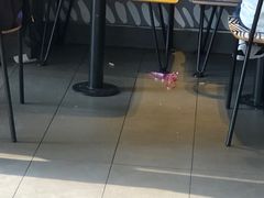 -麦当劳(欢乐谷店)