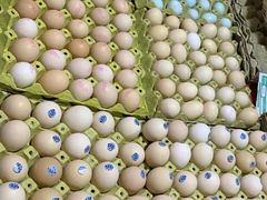 鸡蛋-金旭菜市场