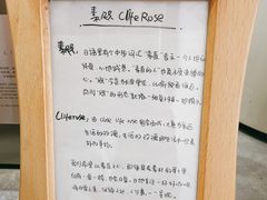 -素咫咖啡CLIFEROSE