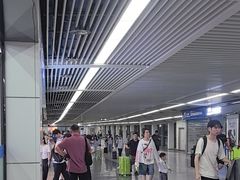 -青岛胶东国际机场