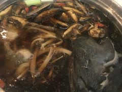 -太婆天府山珍酒楼(亚运村店)
