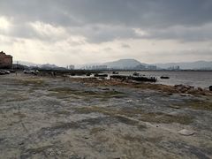 -北岐滩涂