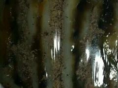 -南大门韩国米糕(公滨路店)