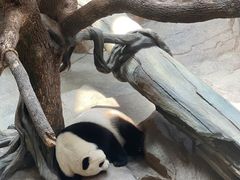 -宁波野生动物园
