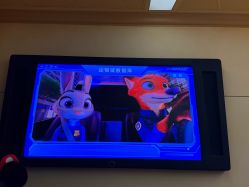 -翱翔飞越地平线