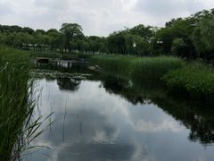 -暨阳湖生态园