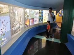 -上海昆虫博物馆