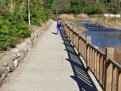 -白河湾生态旅游一条川