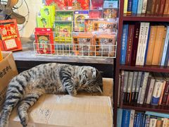 -正阳书局(西四南大街店)