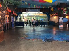 -青岛东方影都融创水世界