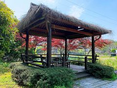 -千岛湖龙川湾