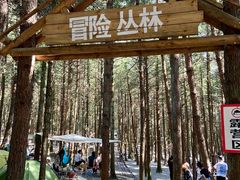-重庆睡佛山森林公园