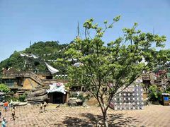 -重庆海昌加勒比海水世界