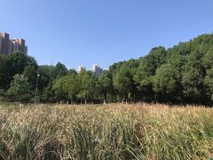 -月湖风景区