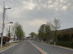 -羊山湖公园