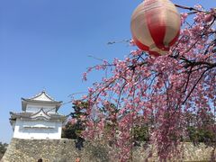 -名古屋城