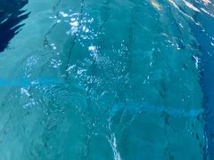 -极动室内恒温游泳馆