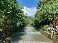 -广州白江湖森林公园